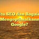 Apa Itu SEO dan Bagaimana Cara Mengoptimalkannya di Google?