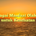 Berbagai Manfaat Olahraga untuk Kesehatan