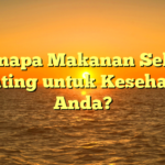 Kenapa Makanan Sehat Penting untuk Kesehatan Anda?