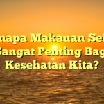 Kenapa Makanan Sehat Sangat Penting Bagi Kesehatan Kita?