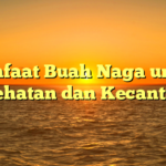 Manfaat Buah Naga untuk Kesehatan dan Kecantikan