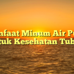 Manfaat Minum Air Putih untuk Kesehatan Tubuh