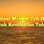 Manfaat Minum Teh Hijau untuk Kesehatan Tubuh