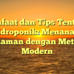 Manfaat dan Tips Tentang Hidroponik: Menanam Tanaman dengan Metode Modern