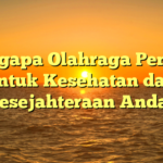 Mengapa Olahraga Penting untuk Kesehatan dan Kesejahteraan Anda?