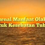 Mengenal Manfaat Olahraga untuk Kesehatan Tubuh