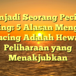 Menjadi Seorang Pecinta Kucing: 5 Alasan Mengapa Kucing Adalah Hewan Peliharaan yang Menakjubkan