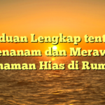 Panduan Lengkap tentang Menanam dan Merawat Tanaman Hias di Rumah