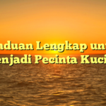 Panduan Lengkap untuk Menjadi Pecinta Kucing