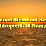 Panduan Membuat Kebun Hidroponik di Rumah