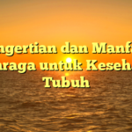 Pengertian dan Manfaat Olahraga untuk Kesehatan Tubuh