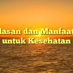 Penjelasan dan Manfaat Yoga untuk Kesehatan