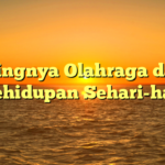 Pentingnya Olahraga dalam Kehidupan Sehari-hari